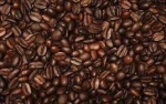 High Quality Cheap Bulk Homegrown Robusta Coffee Bean Price For Sale