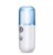 Import High Quality Electric Nano Handy facial Mist Sprayer, Professional Facial Steamers Factory Price from China