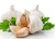 High Quality Free Sample Garlic Extract