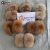 Import High Quality Multi color customization Supplier Wholesale Raccoon hair fox hair Real Fur Fur Slides Slippers Home Fur Slippers from China