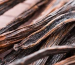 High Quality Pure Black Vanilla Beans