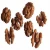 Import High quality SANSAN Inshell Walnuts from USA