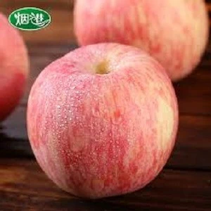 Highly Nutritious  Fresh Red Fuji Apples