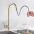 Import Holmine Brushed Gold Kitchen Faucet Pull Out Kitchen Sink Water Tap Single Handle Mixer Tap 360 Rotation Kitchen Shower Faucet from China