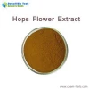 Hops Flower Extract Powder from 14 years factory