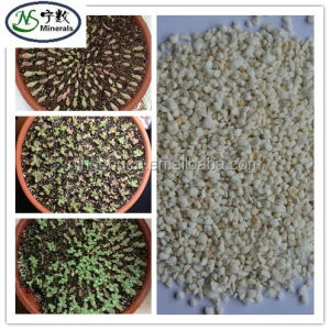 Horticultural Perlite/Perlita As Potting Soil For Bonsai Growing/Orchid/Succulent