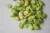 Import Hot sale Frozen fresh Vicia faba broad bean from China