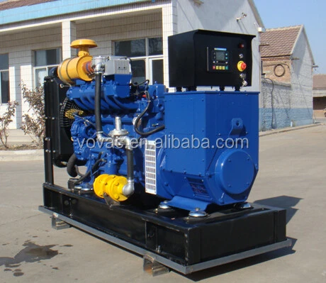 Hot Sale Home Use 15kw Gas Generator For Natural Gas/ Biogas/ Lpg!!!
