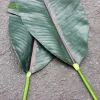 Hot Sale Natural Artificial Plant Leaves PU Real Touch Banana Leaf