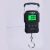 Import Hot sell Cheap Digital Portable Electronic Luggage Fishing Weighing Scale dried fish scale crane scale from China