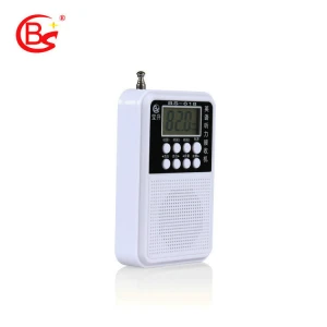 Hot Selling Customized Clear Timbre Portable Mini FM Frequency Home Radio