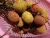 Import hot selling Fresh lychee / litchi / lichee / litchee / exotic fruit from Pakistan