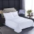 Import hotel linen 100% cotton sateen bed linen white bedding set 4 pcs  300TC with nice colored applique from China