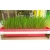 Import Hydroponics Seed Germination Tray Seedling Sprout Plate Grow Nursery Pots Vegetable Seedling Pot Plastic Nursery Tray from China