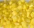 Import IFS approved canned corn in bulk for sale quality guarantee from China