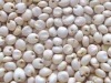 Indian Natural Indian Sorghum White high nutrition bulk export