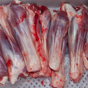 Inner Mongolia Frozen&Fresh Halal Lamb Meat Producer/ Bone-in Fore Shank