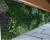 Import Ivy Covering Grass Plant Design Flower Box Hedge 2017 Ornamental Boxwood Green Artificial Vertical Garden Wall from China
