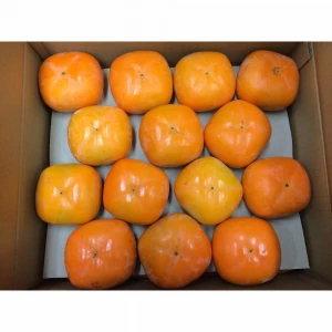 Japanese Sweet Fresh Persimmon Fruits for Sale with Good Price