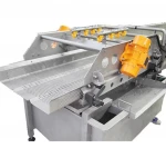 kelp and laver swirl washing machine  clean vegetable package line
