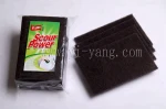 kitchen scouring pad