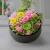 Import Long life forever preserve cut fresh flowers as Birthday gift from China