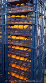 mandarin orange fruit