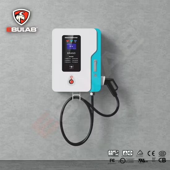 Import Manufacturer 60kw 80kw 120kw 240kw Commercial Charger Level 3 Electric Car EV Fast DC Charging Station from China