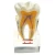 Import Medical Student Use for Dental Study / Teaching / Training Tooth Nerve Anatomy Model from China