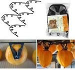Metal Hanger hook for making dried fruits Made in Japan