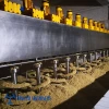 Micro Malt Machine/Craft malt machine/Barley Turning Machine to microbrewery