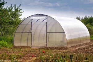 Mini greenhouse pe film greenhouse green house