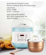 Mini Multi Rice Cooker Electric Pressure Cooker Hot Pot 3L