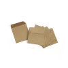 Mini Small 100% Recyclable Biodegradable Brown Kraft Paper Seed Envelopes