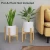 Import Modern natural plant stand display flower pot stand suitable for house plant home decoration from China
