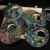 Import natural abalone shell diy shell decoration natural colored shell from China