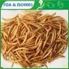 Natural Animal Feed 2.8cm Mealworms poultry feed ingredients