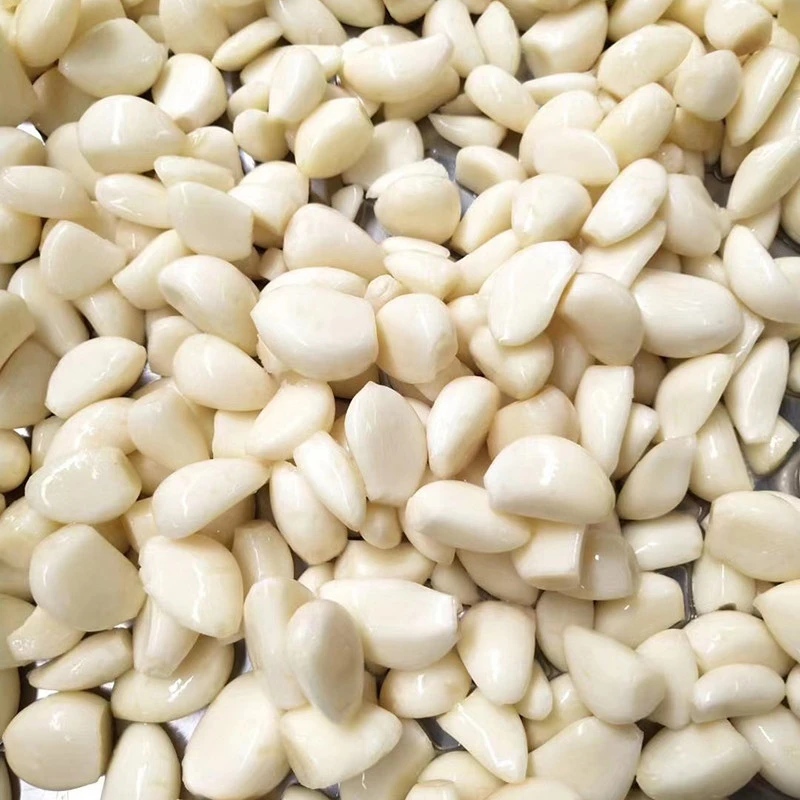 New crop 2020 Delicious Fresh garlic white peeled super garlic
