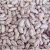 Import New Crop export to Yemen Long shape Light Speckled kidney pinto Beans from Austria