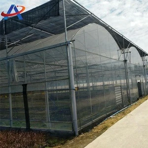 New Products Single Span Plastic Film vegetable greenhouse