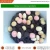 Import Oreo Crumbs, Vanilla and Chocolate Cookies Drops Mix Bakery Decoration Ingredients from Russia
