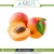 Import Organic Apricot Kernel Oil India from China