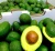 Import Organic Cultivate AVOCADO FRESH from  South Africa from Germany
