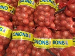 Organic Yellow Onion for exporter from South Africa