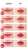 Import Peach C Matte Lipstick Pure C MLBB daily coral Long Lasting stick Lip makeup korea cosmetic k-beauty made in korea from South Korea