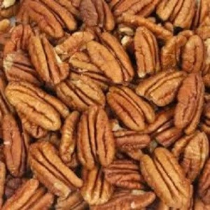 Pecan Nuts High Quality Grade Raw organic Fresh crop of Pecan Pieces in 30 lbs Bulk and Vacuum bag