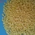 Import Phosphate Fertilizer DAP 18-46-0 from China