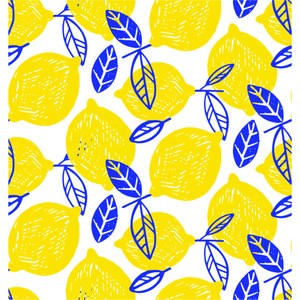 Planner Lemons 8.25X 11inch year month and weekly calendar
