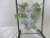 Import Plant rattan hanging basket from China