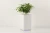 PlantsWord-2 Flower Talk smart watering flowerpot sensor automatic watering pots resin pots creative succulents pots
